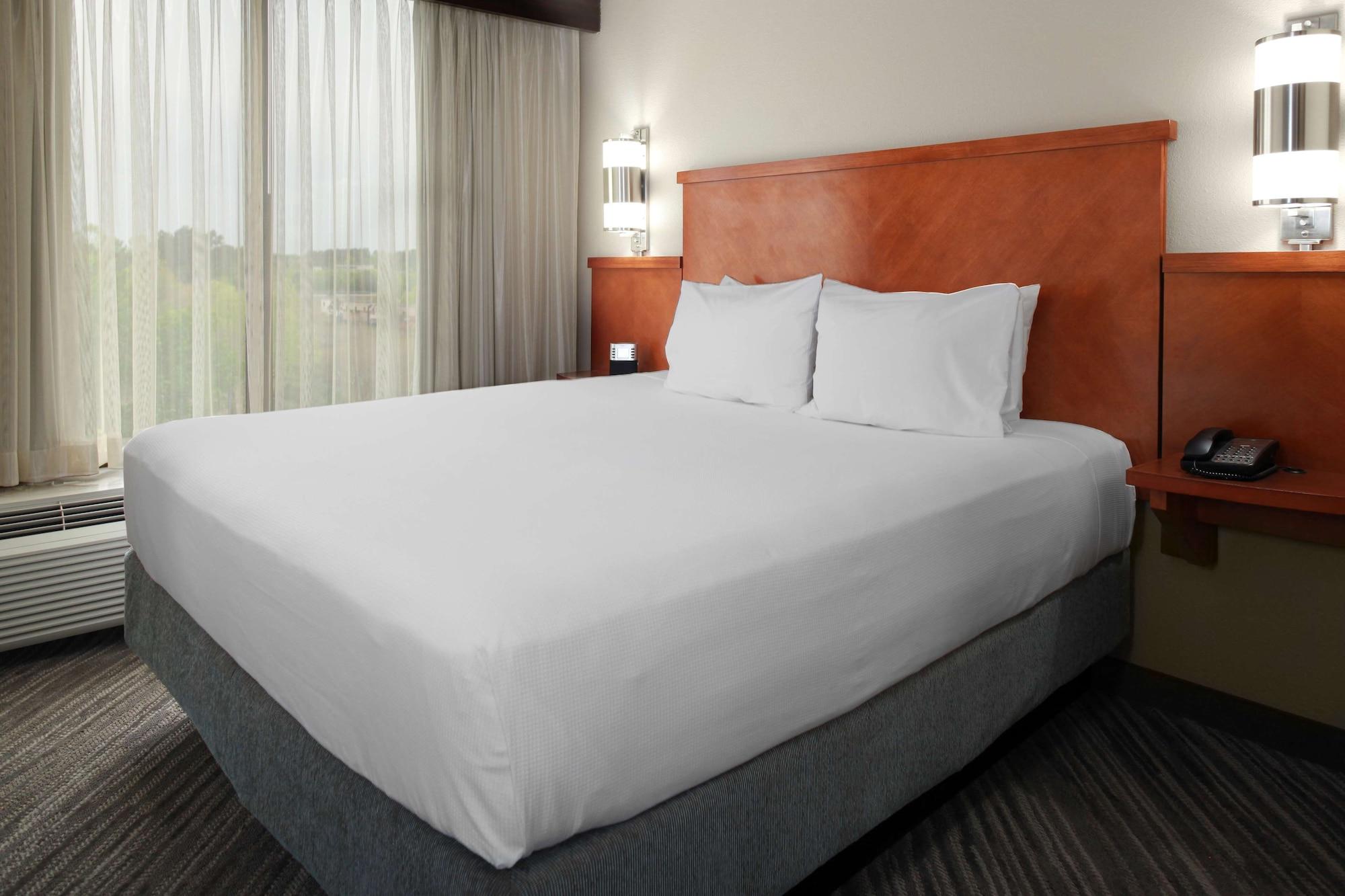 Hyatt Place Tampa Busch Gardens מראה חיצוני תמונה